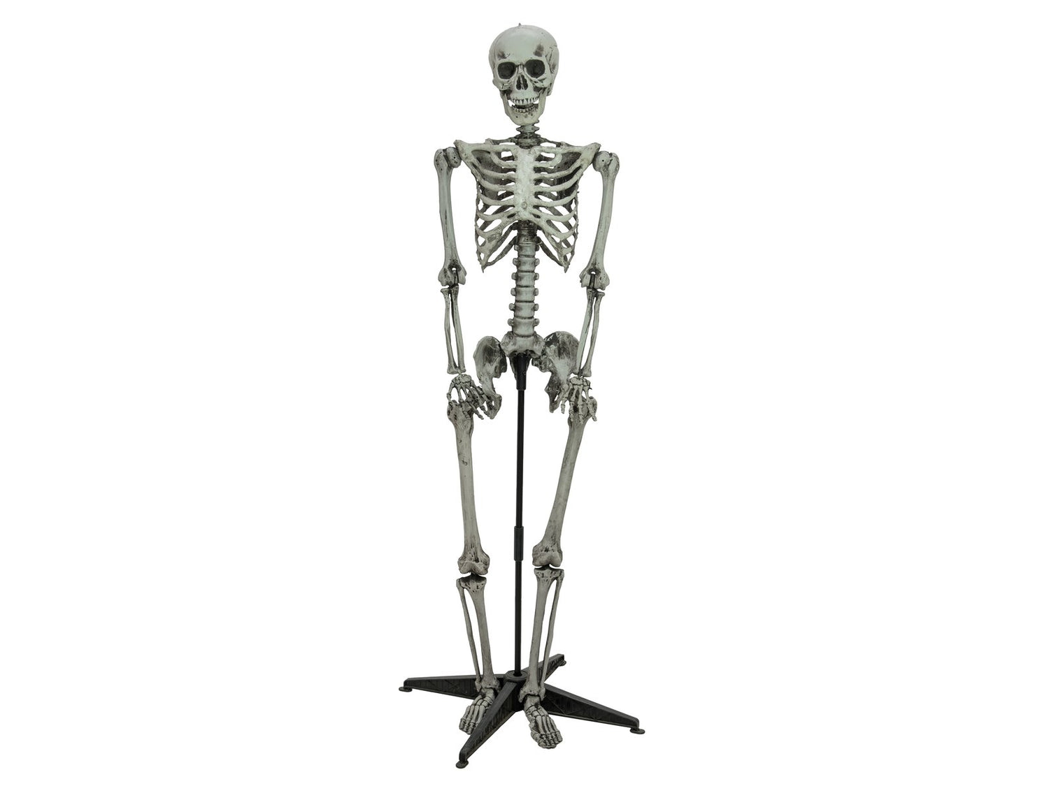 EUROPALMS Halloween Skelett stehend, 160cm