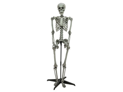 EUROPALMS Halloween Skelett stehend, 160cm