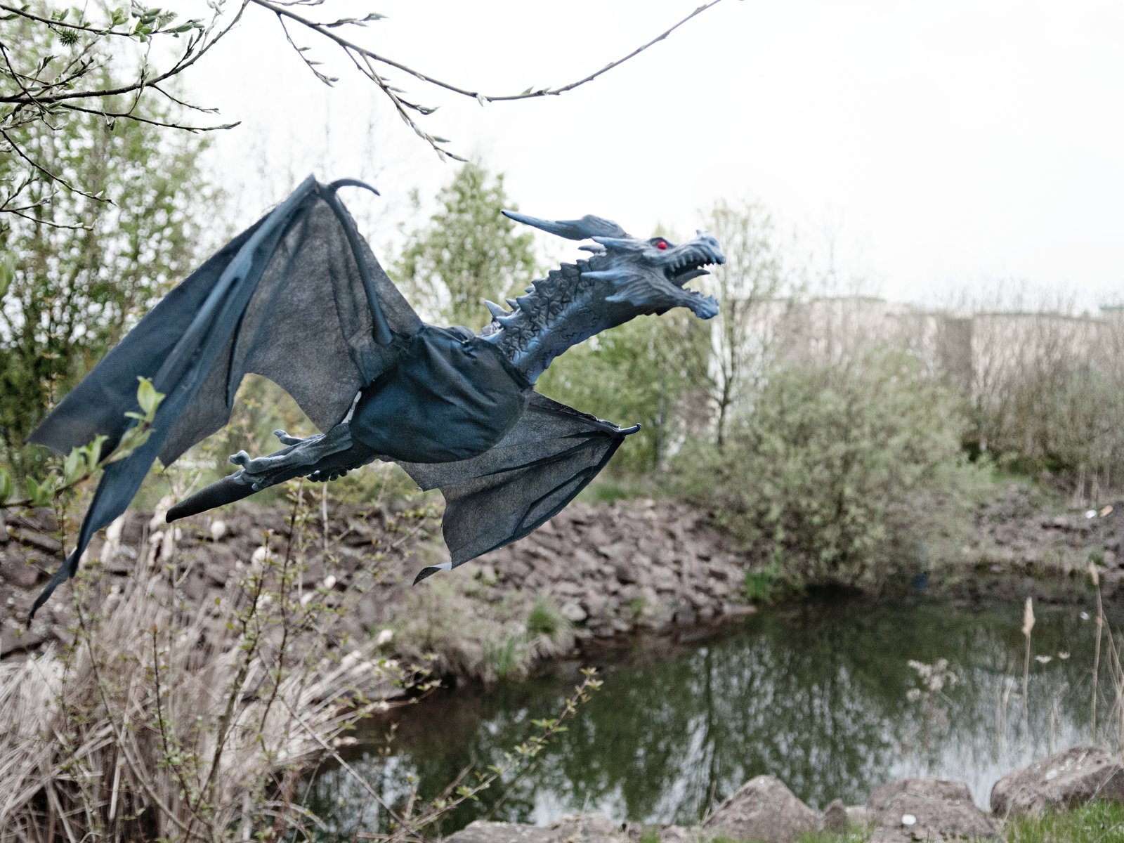 EUROPALMS Halloween Flying Dragon, animiert, blau, 120cm