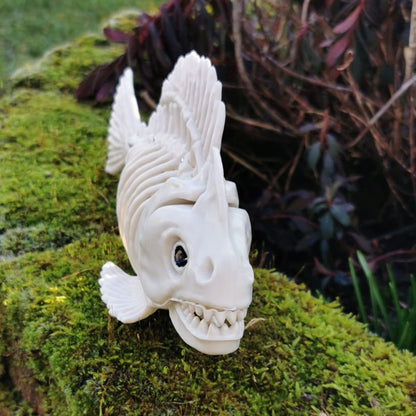 Skelett Piranha - Größe 25 x 8 x 11 cm