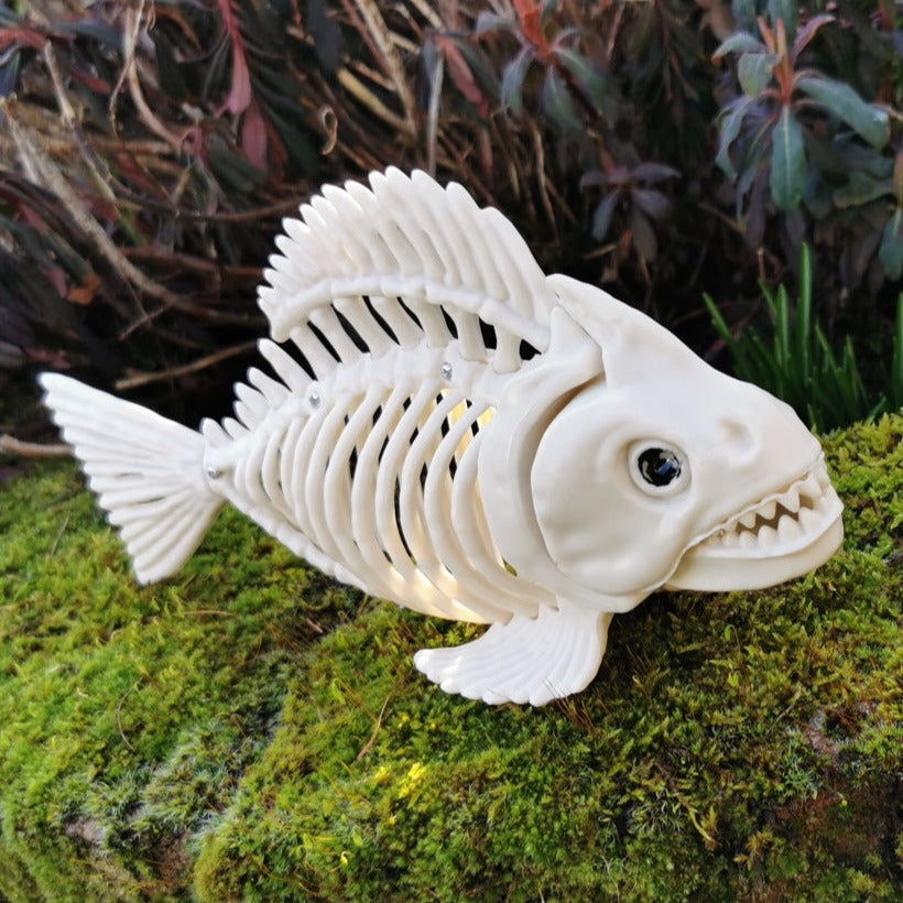 Skelett Piranha - Größe 25 x 8 x 11 cm